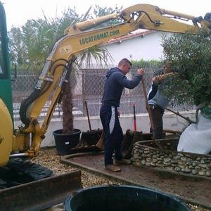 plantation 2